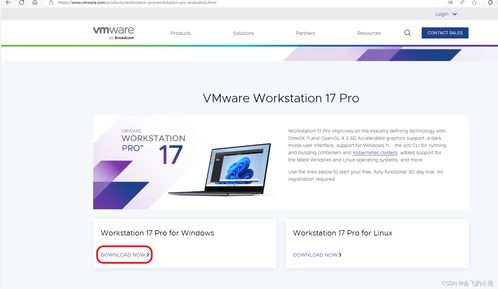 VMware Workstation Pro 17 软件下载与安装全攻略及历史版本下载指南