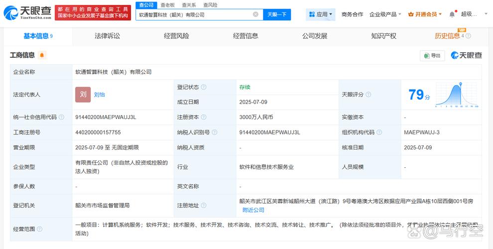 计算机软件开发行业的创新与实践 基于3000万注册资本企业的视角
